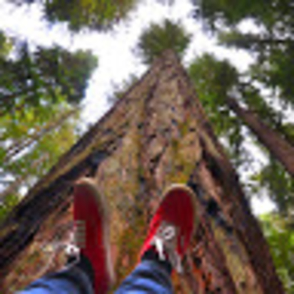 Meet your Posher, Nina